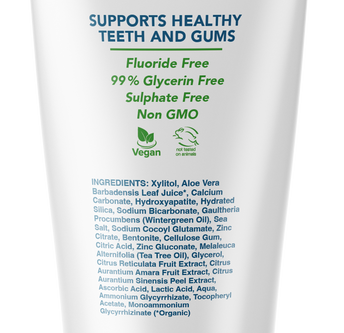 ProMineralizer Fluoride-Free Toothpaste with Nano Hydroxyapatite (Wintermint)